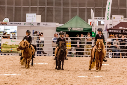 Shetland pony staje UNICORN, z.s,. foto Linda Krejci