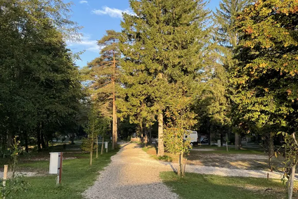 Kemp Menina, připomíná na konci sezony v říjnu spíš lesopark Slovinsko,  FOTO Tomáš Málek